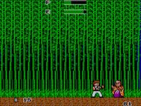 une photo d'Ã©cran de Kung Fu Kid sur Sega Master System